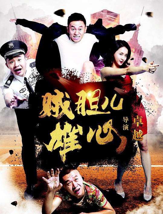 贼胆儿雄心 封面