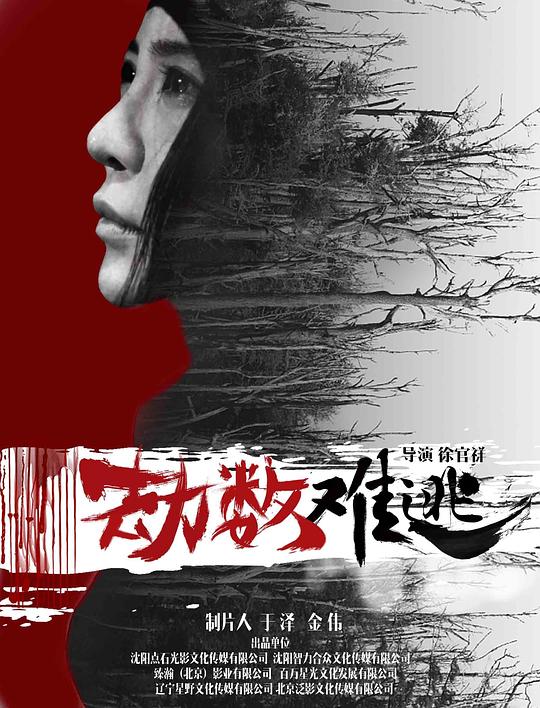 劫数难逃 封面