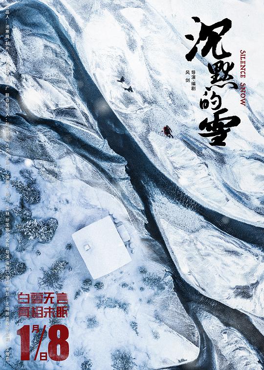沉默的雪 封面
