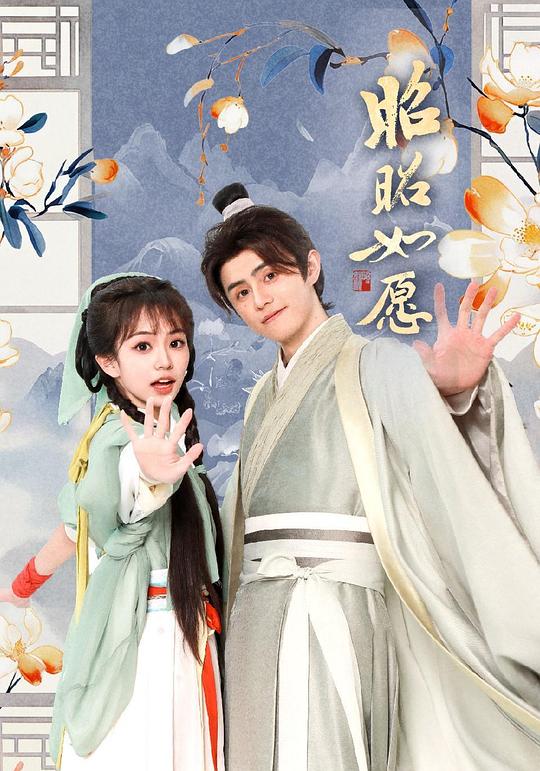 昭昭如愿 海报