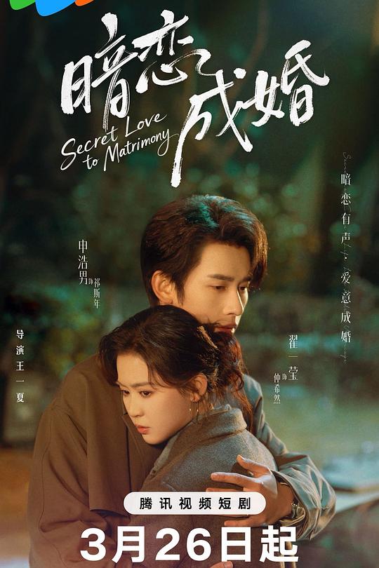 暗恋成婚 海报