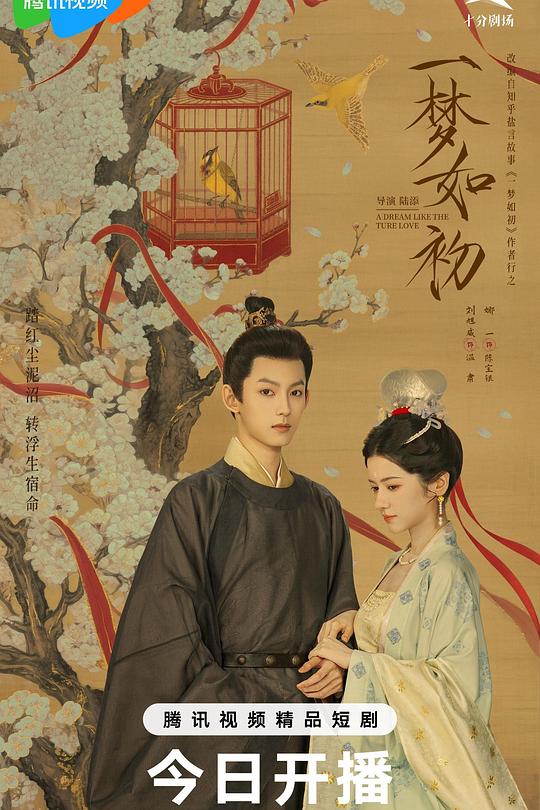 一梦如初 封面