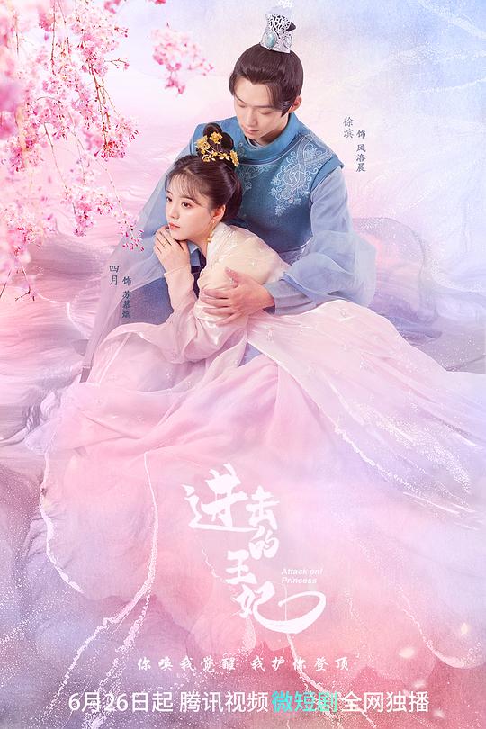 进击的王妃 封面