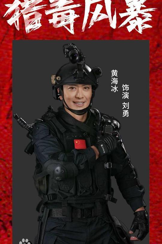 猎毒风暴 封面