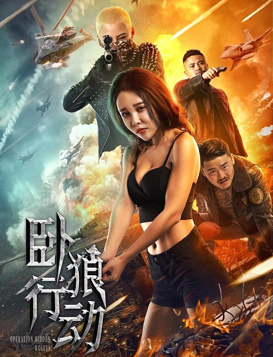 卧狼行动 封面