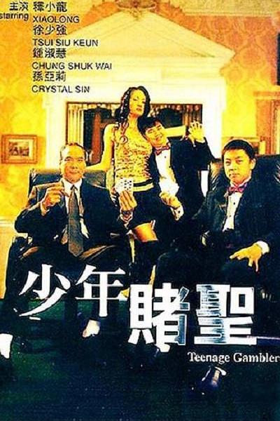 少年赌圣 封面
