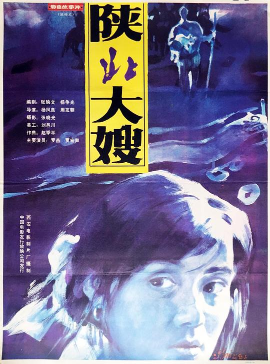 陕北大嫂 封面
