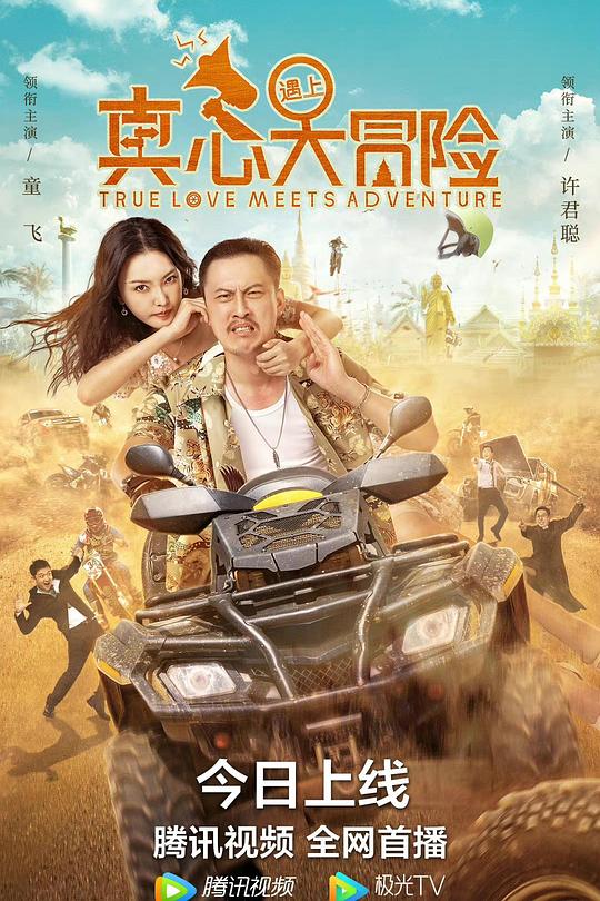 真心遇上大冒险 封面