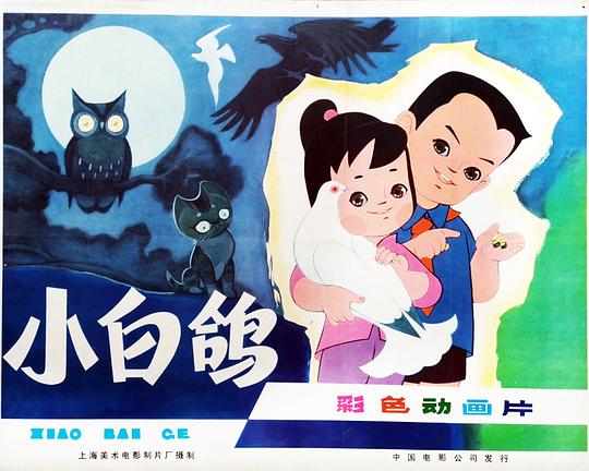 小白鸽 封面