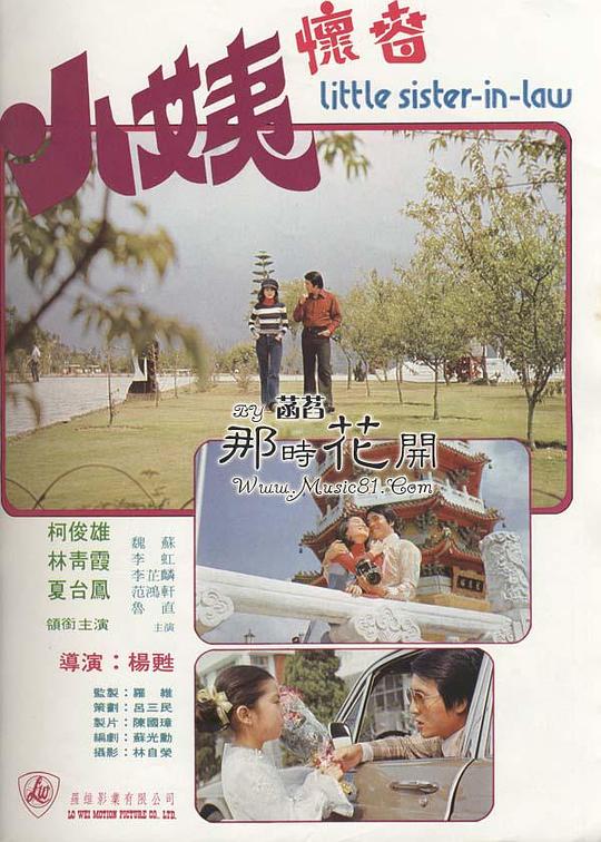 小姨怀春 小姨懷春 封面