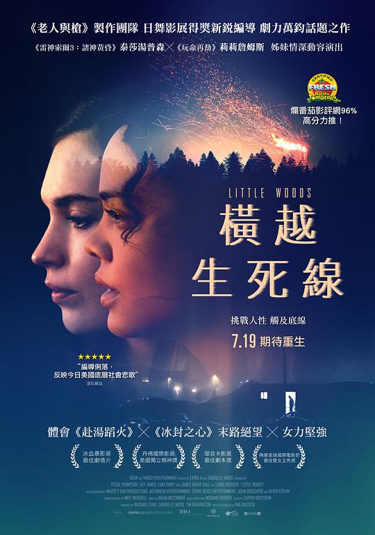 小森林 封面