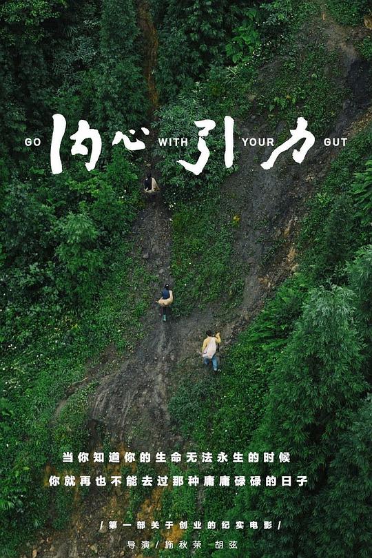 内心引力 封面