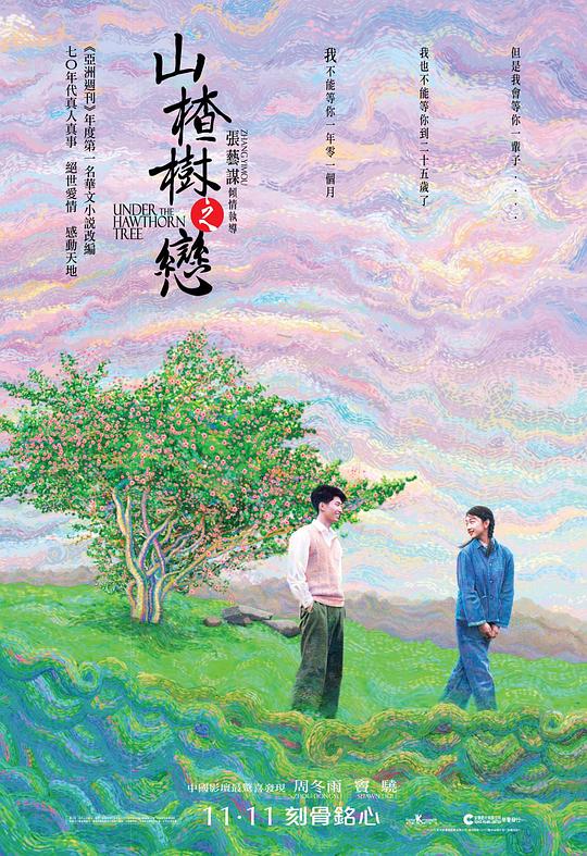 山楂树之恋 封面