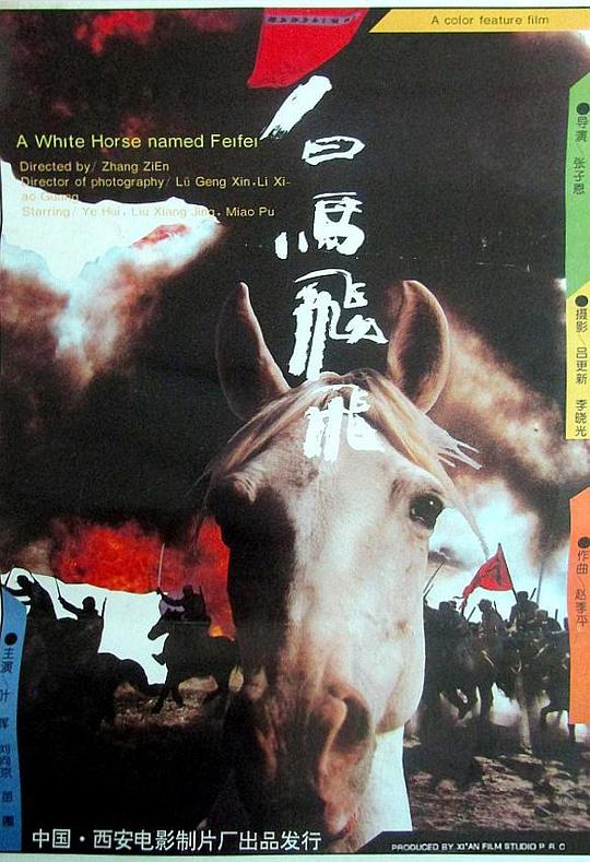 白马飞飞 封面