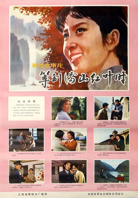 等到满山红叶时 封面