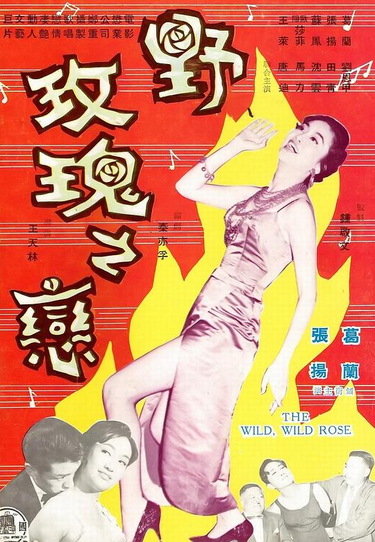 野玫瑰之恋 封面