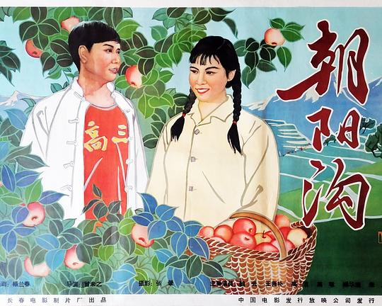 朝阳沟 封面