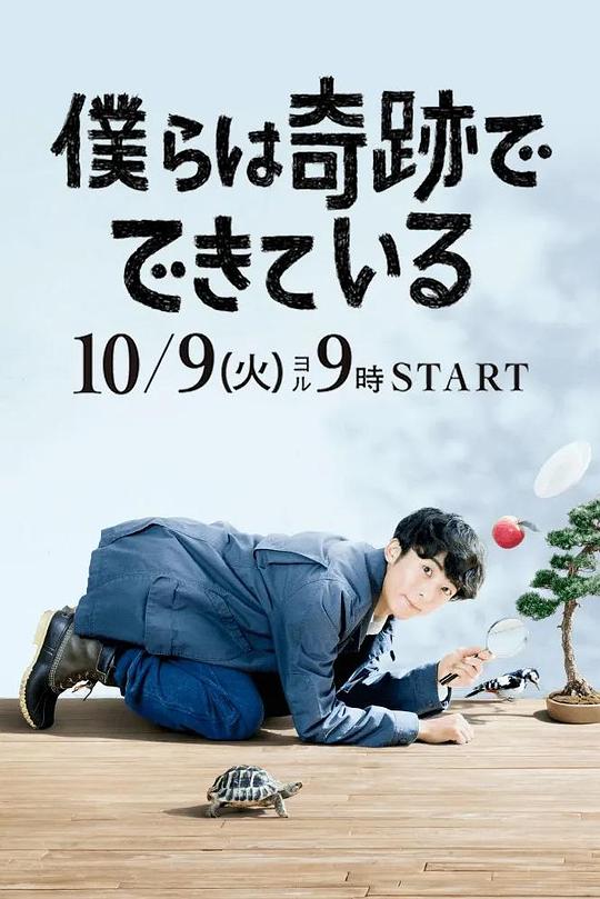 我们由奇迹构成 僕らは奇跡でできている 封面