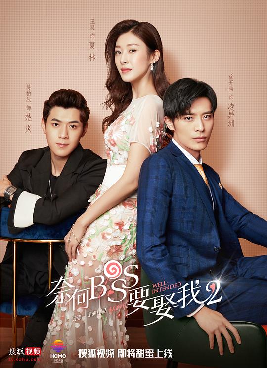 奈何boss要娶我2 封面