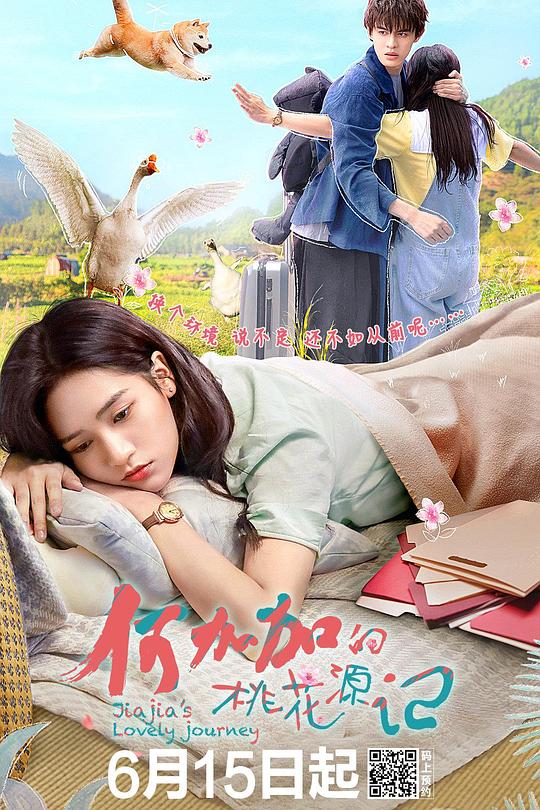 何加加的桃花源记 封面