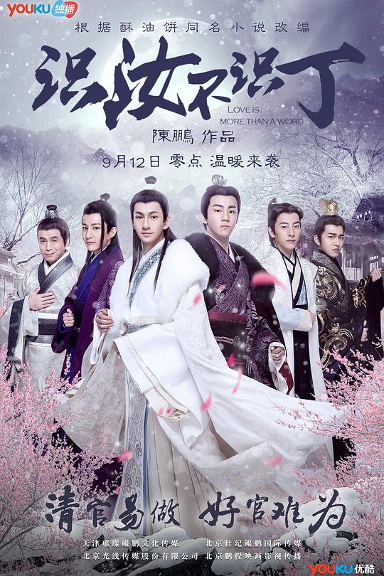 识汝不识丁 封面