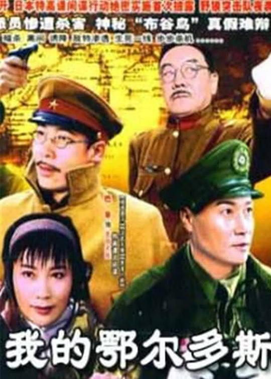 我的鄂尔多斯 封面