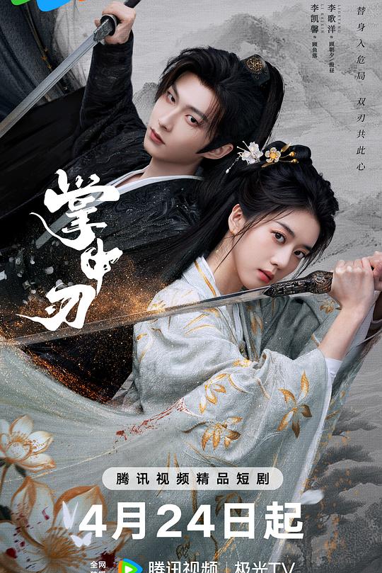 掌中刃 海报