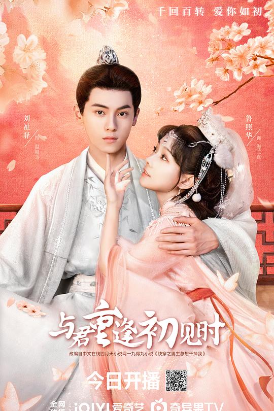 与君重逢初见时 封面