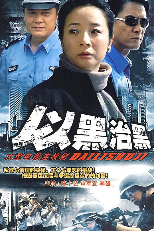 以黑治黑 封面