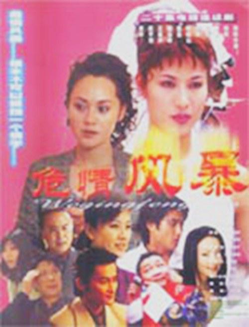 危情风暴 封面