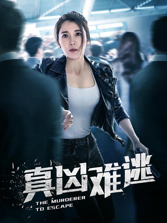 真凶难逃 海报