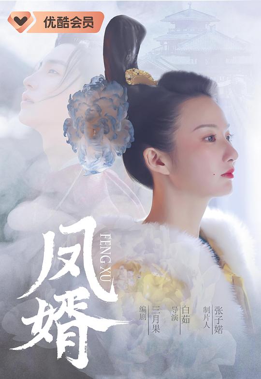 凤婿 封面