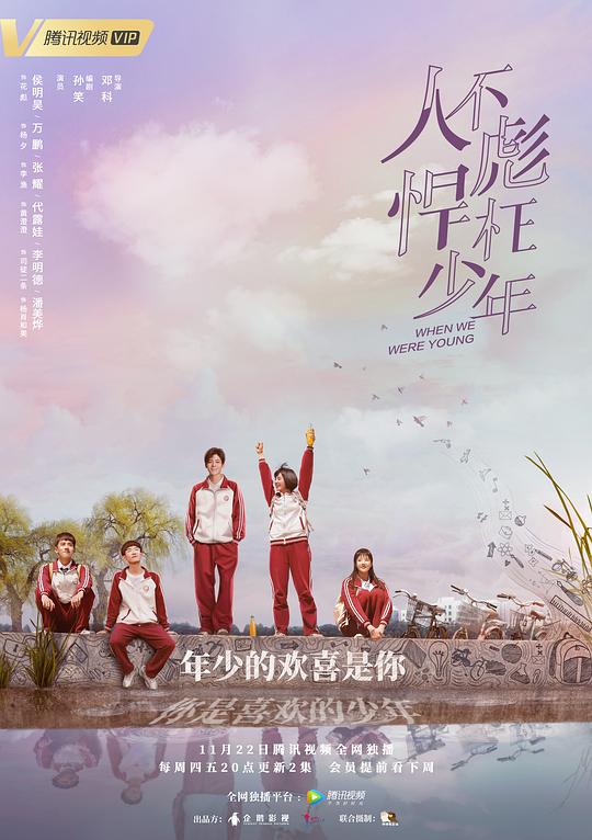 人不彪悍枉少年 封面
