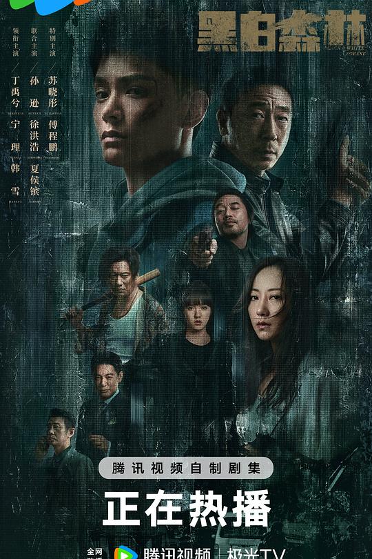 黑白森林 封面