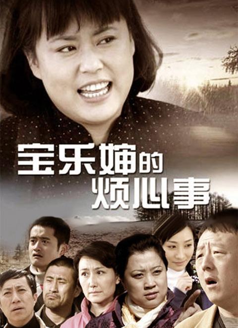 宝乐婶的烦心事 封面
