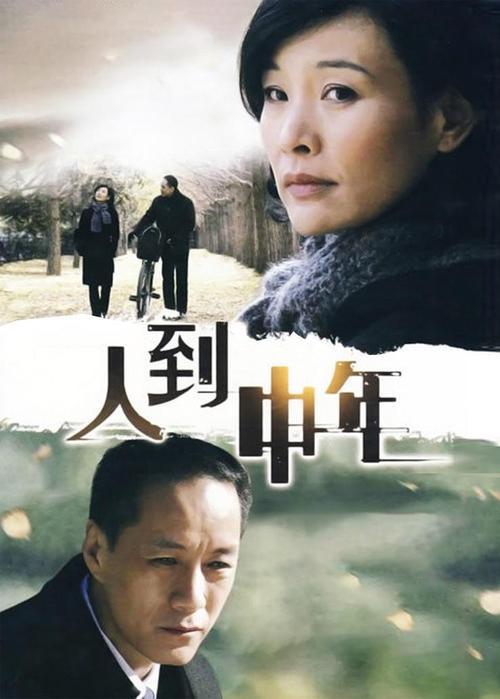 人到中年 海报