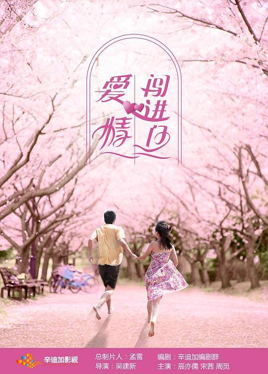 爱情闯进门 海报