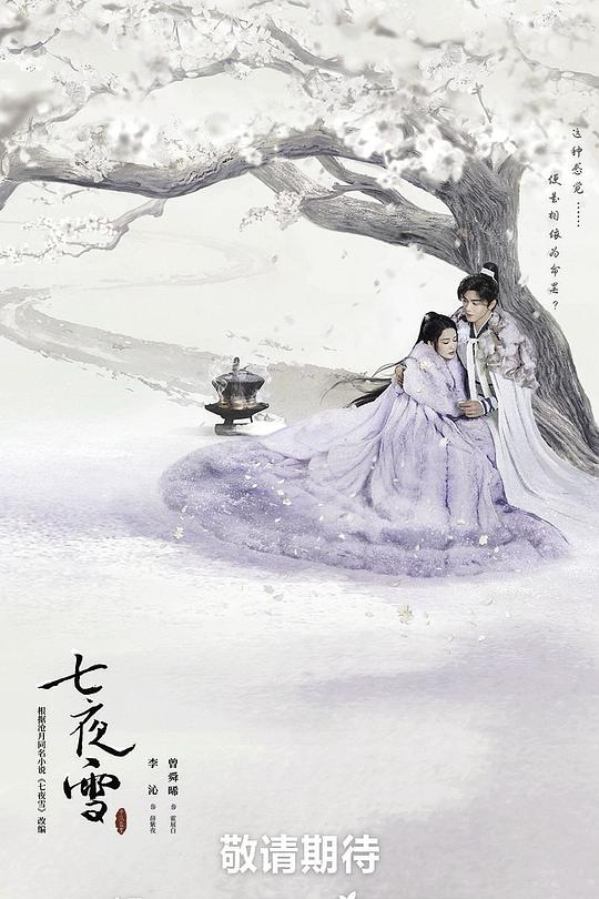 七夜雪 封面