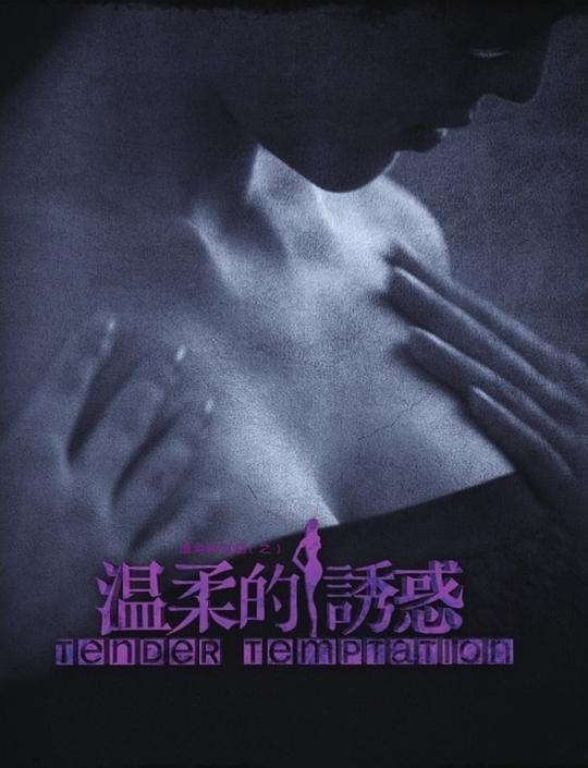 温柔的诱惑 封面