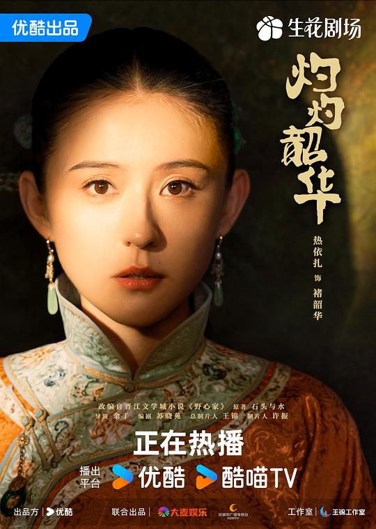 灼灼韶华 封面