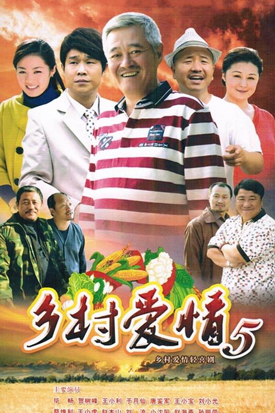 乡村爱情小夜曲 封面