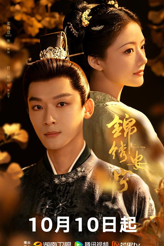 锦绣安宁 封面