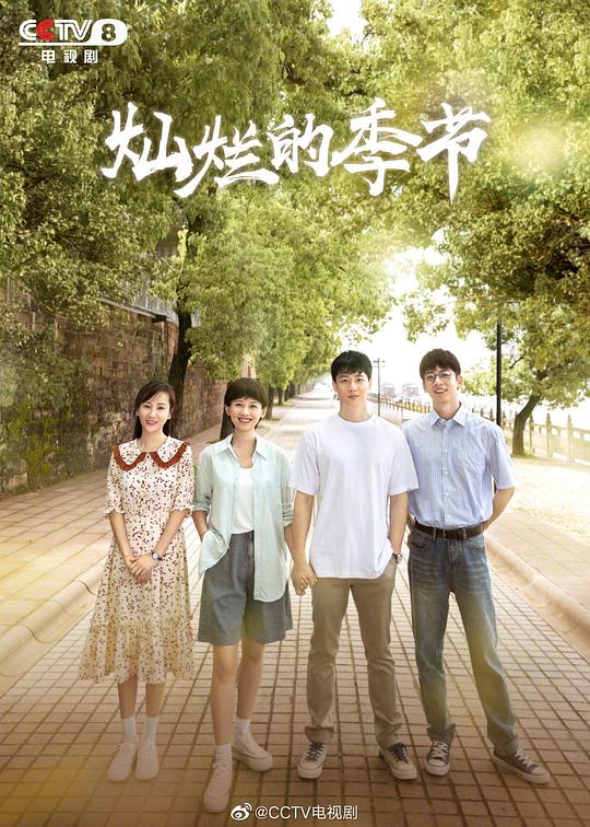 灿烂的季节 封面