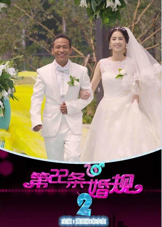 第22条婚规2 封面