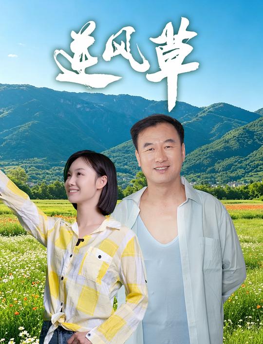 逆风草 海报