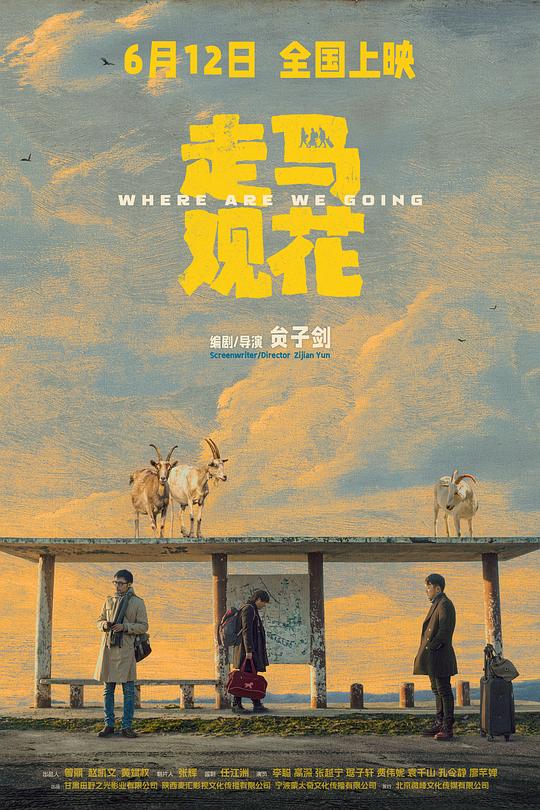 走马观花 封面